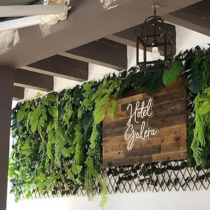 Hotel Hotel Galera **
